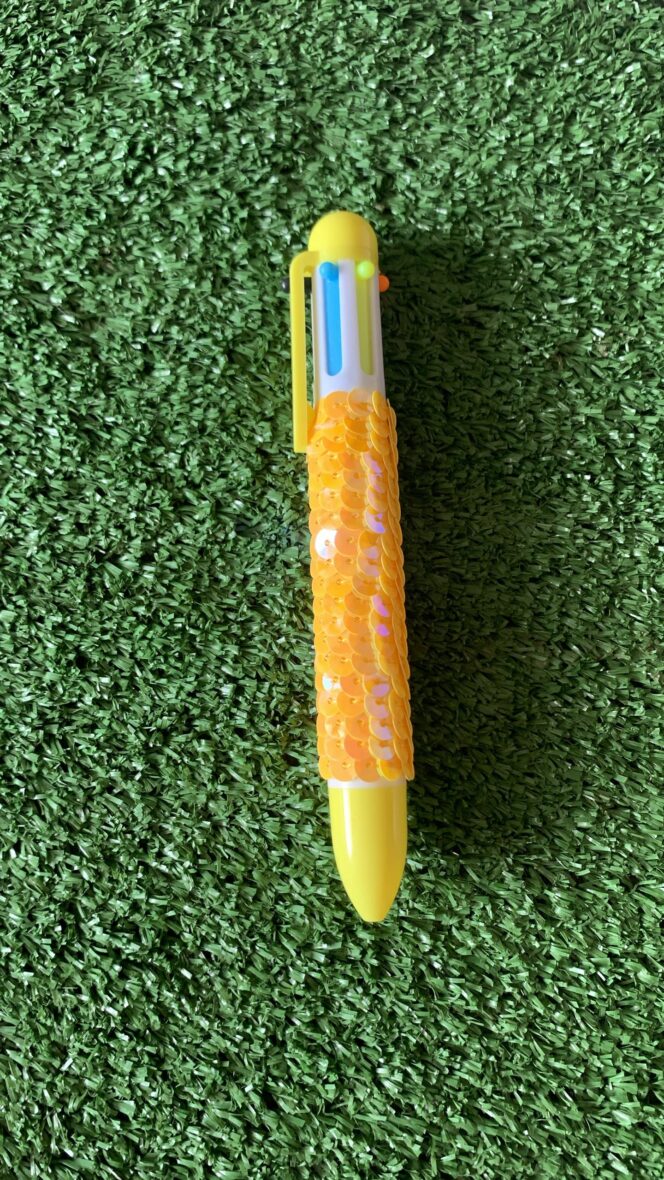 SCHOOL PEN
