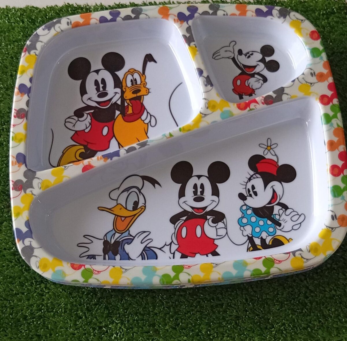 DIVIDED PLATE